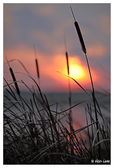 Фотографія Sunset... / Вадим / photographers.ua