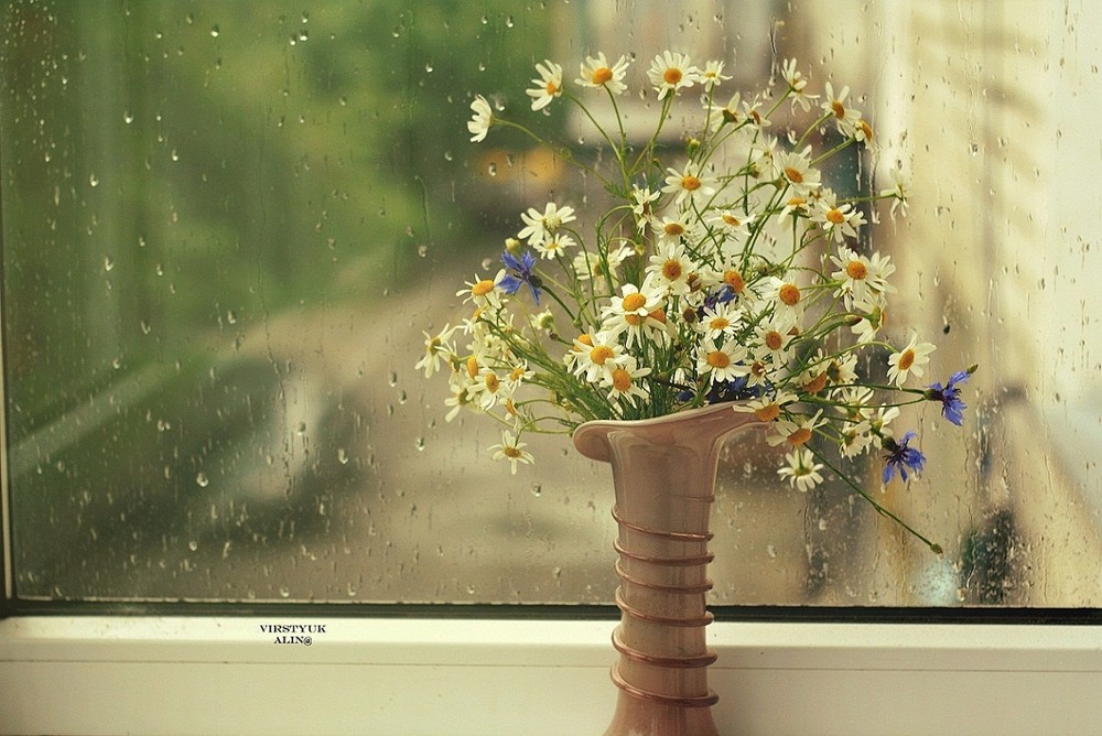 Фотографія Дождями, стихами и горькой весенней слезой... / Alina Virstyuk / photographers.ua