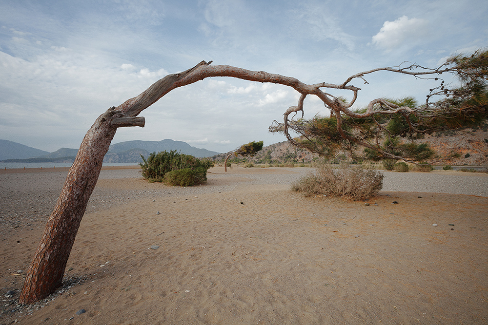 Фотографія Пейзаж / Перхалюк Роман / photographers.ua