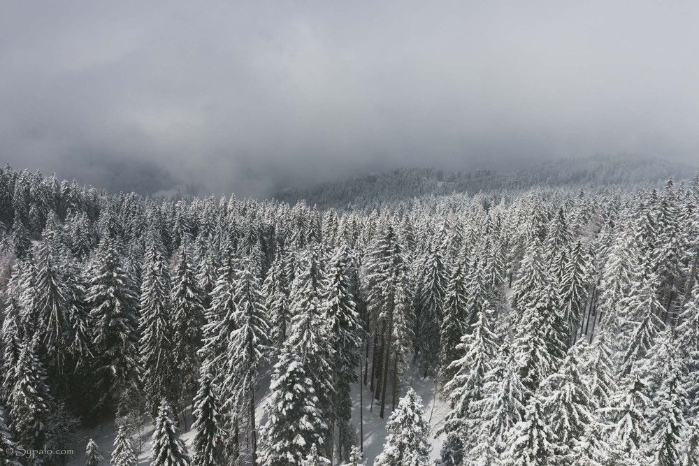 Фотографія Winter is coming / Сергей Сыпало / photographers.ua