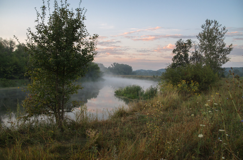 Фотографія Август, утро и река / Елена Резник / photographers.ua