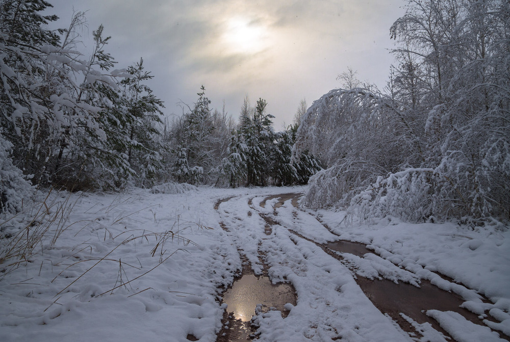 Фотографія Мокрый снег / Елена Резник / photographers.ua