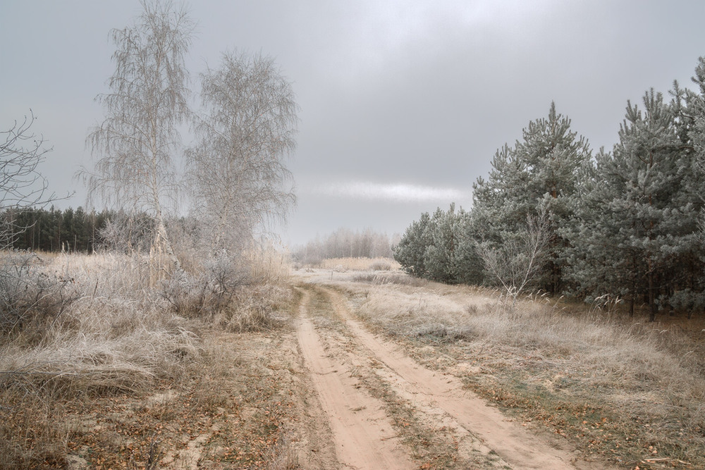Фотографія Зима близко... / Елена Резник / photographers.ua