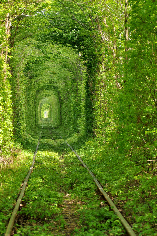 Фотографія Свет в конце тоннеля / Oleg Gordienko / photographers.ua