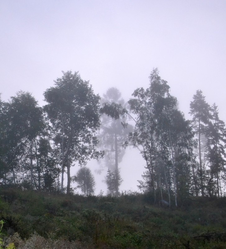 Фотографія синий туман- похож на обман / Mila / photographers.ua