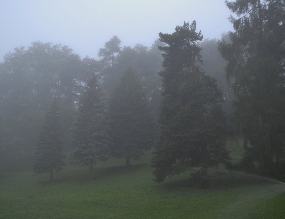 Фотографія из  серии *туман* / Mila / photographers.ua