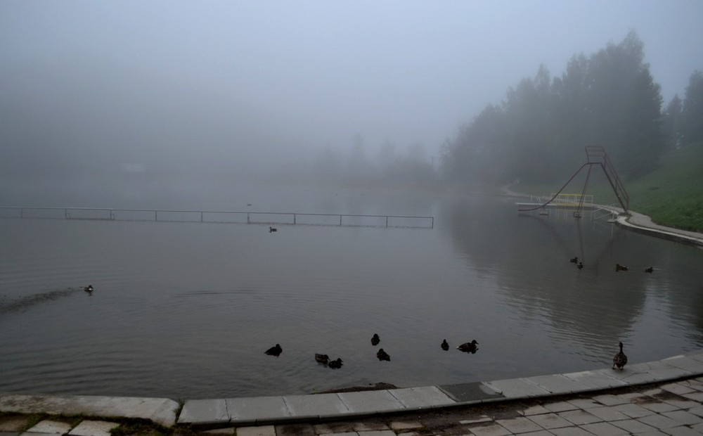 Фотографія Утром туманным. / Mila / photographers.ua