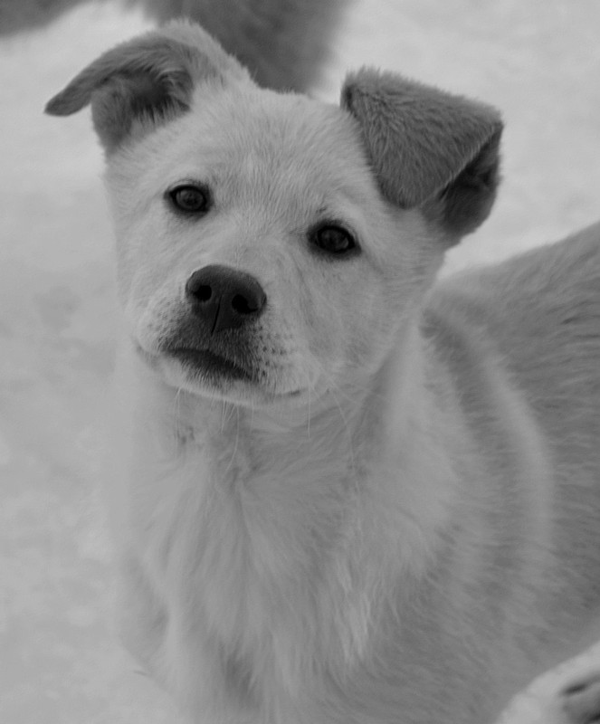 Фотографія Голод не тетка... / Mila / photographers.ua