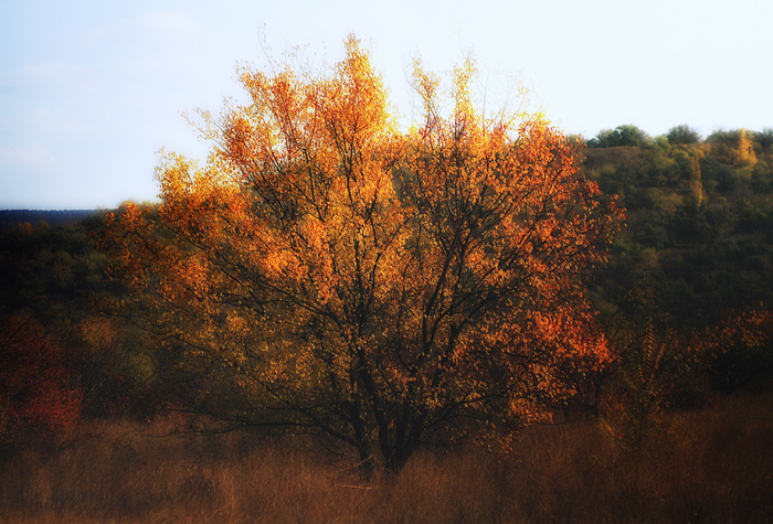 Фотографія October. / Alexender Lujinskiy / photographers.ua