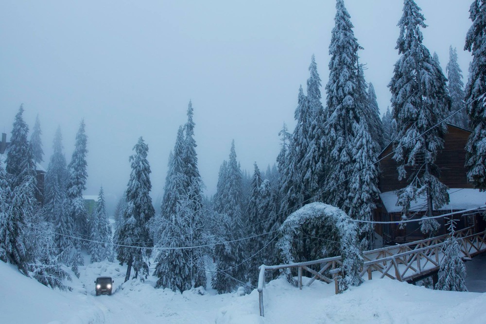 Фотографія snow taxi / klimat / photographers.ua