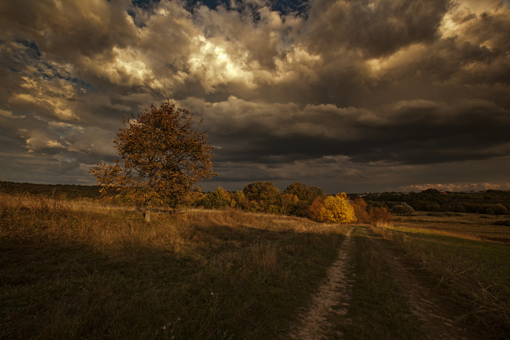 Фотографія ** / Петр Антонович / photographers.ua