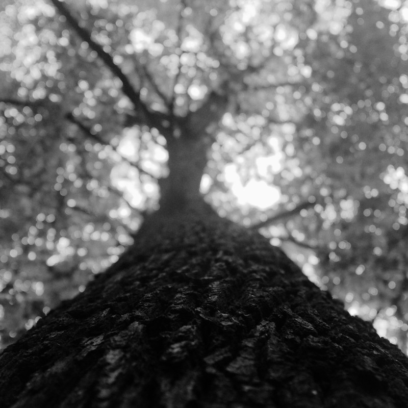 Фотографія Разное / mamont_enigman / photographers.ua