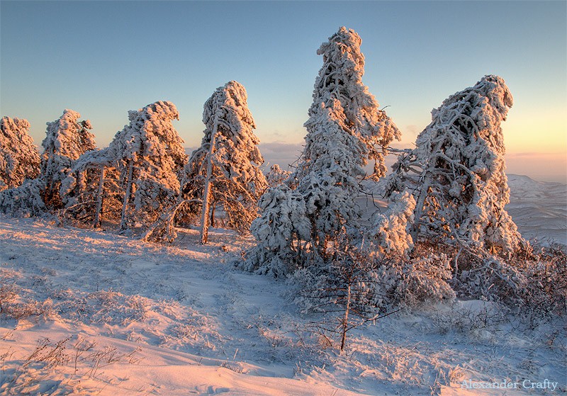 Фотографія К зиме на поклон / Alexander Crafty / photographers.ua