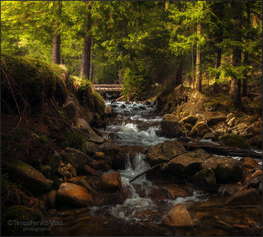 Фотографія Карпатські водограї! / Vlad Timoshenko / photographers.ua