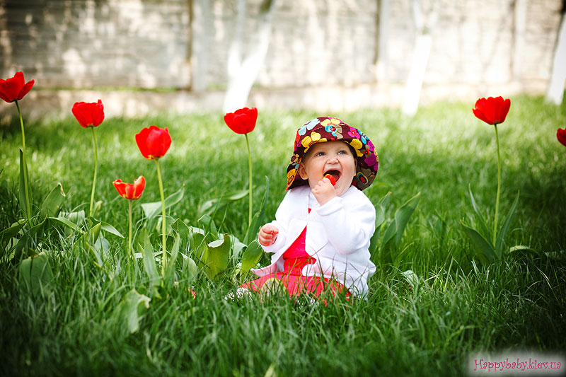 Фотографія Соня в тюльпанах / Даша Павлова / photographers.ua
