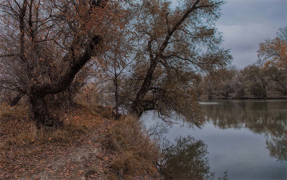 Фотографія Сонный Турунчук / Оксана Туманова / photographers.ua