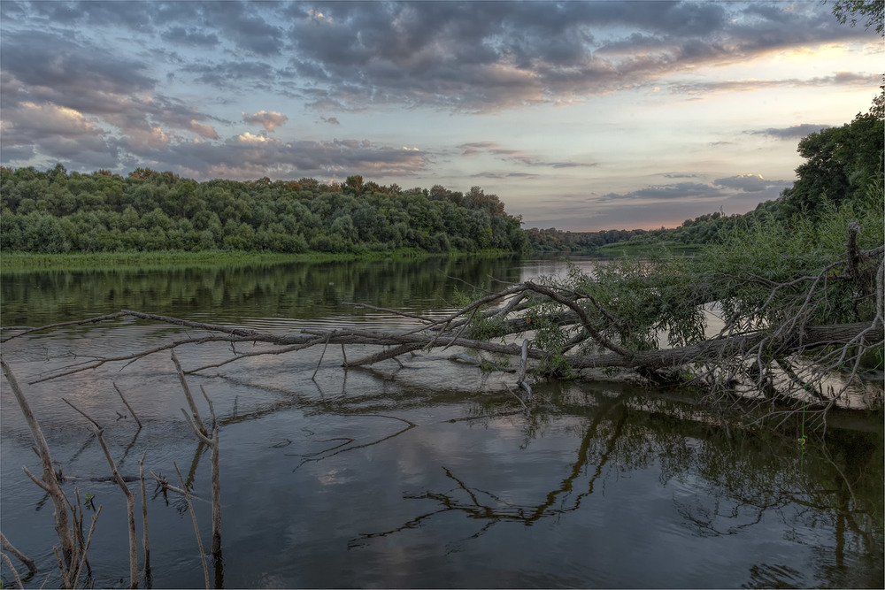 Фотографія Деснянские зарисовки / Оксана Туманова / photographers.ua