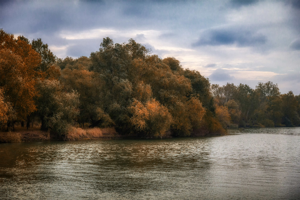 Фотографія Сонный Турунчук / Оксана Туманова / photographers.ua