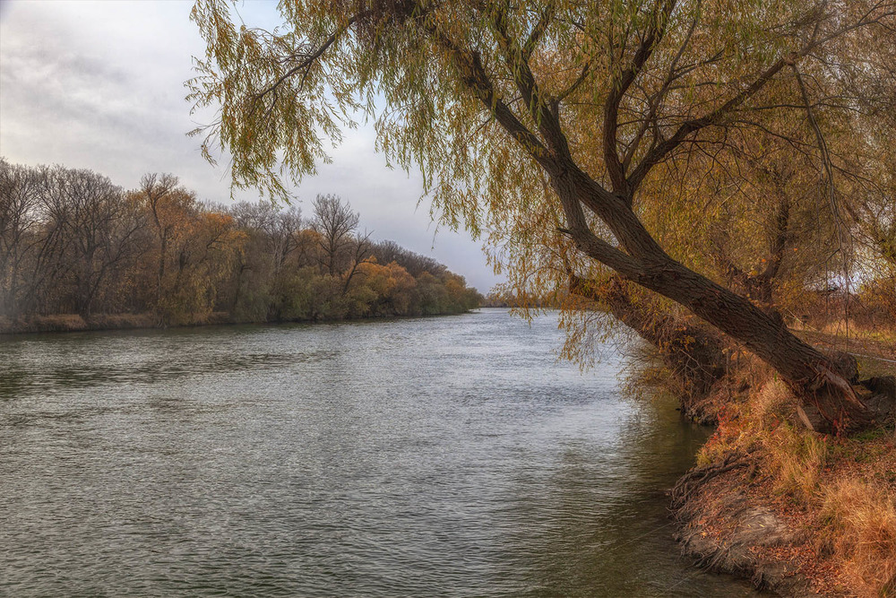 Фотографія Сонный Турунчук / Оксана Туманова / photographers.ua