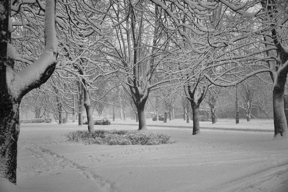 Фотографія Когда  бывает в городе зима... / Оксана Туманова / photographers.ua