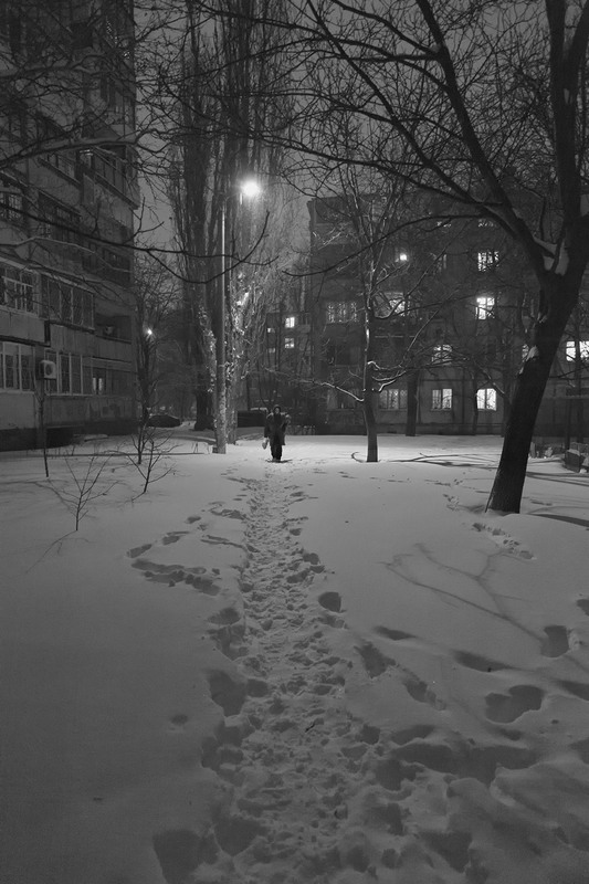 Фотографія Первый снег этого года / Оксана Туманова / photographers.ua
