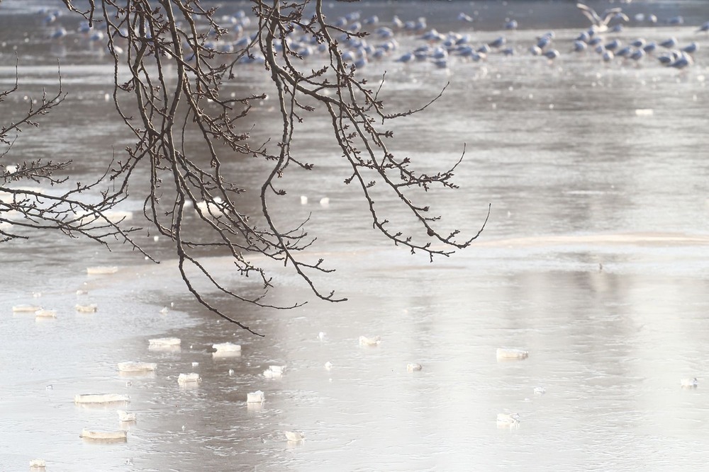 Фотографія вайби парку Перемоги / Вадим Мемрук / photographers.ua