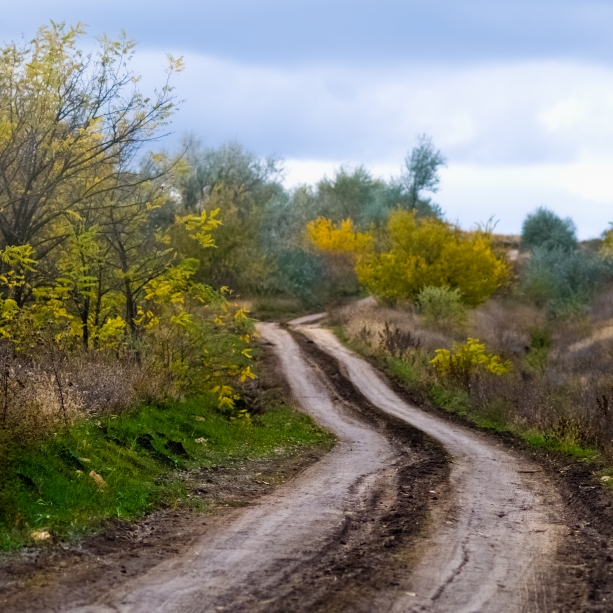 Фотографія Пейзаж / Олег / photographers.ua