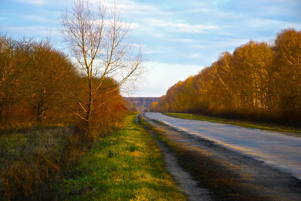 Фотографія Пейзаж / Олег / photographers.ua
