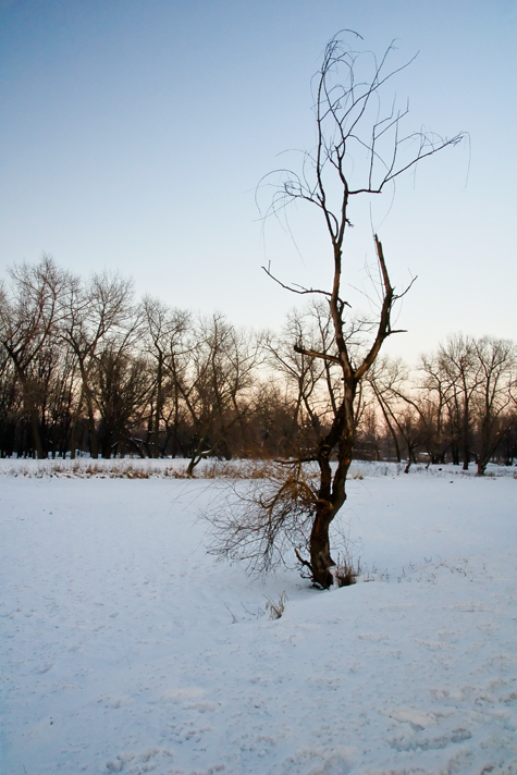 Фотографія Зимний вечер / Виктор Переверзев / photographers.ua