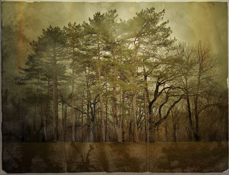 Фотографія Воспоминания / Виктор Переверзев / photographers.ua