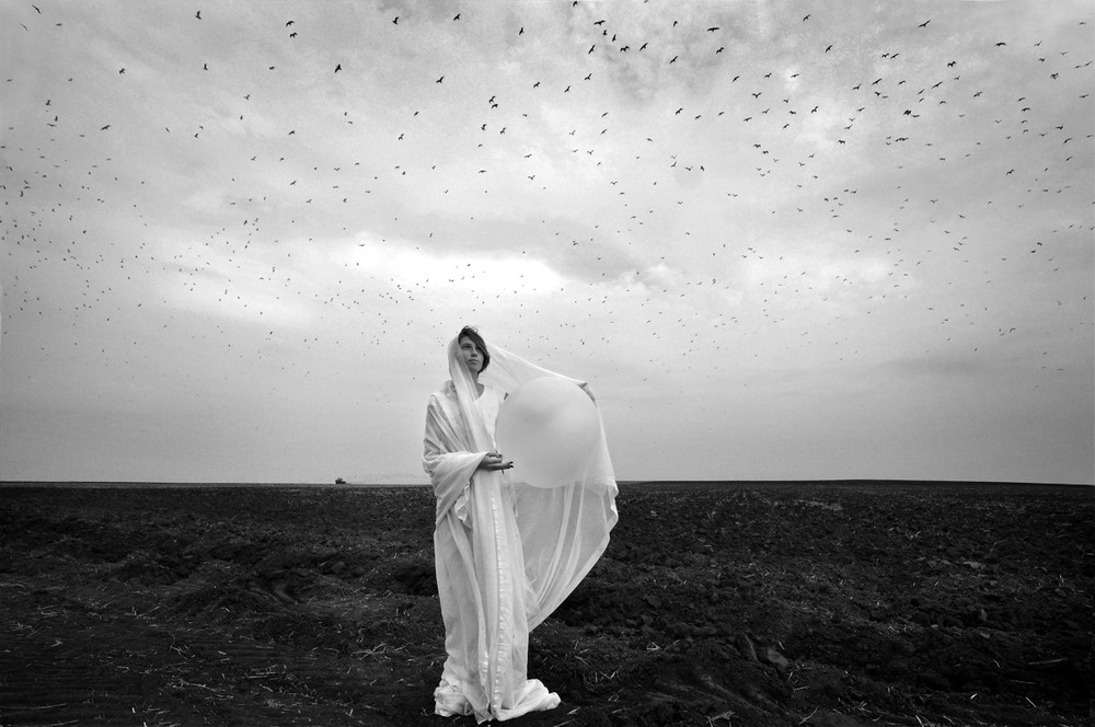 Фотографія the Kolgospne pole z ptashkami / Alex BERKUN / photographers.ua