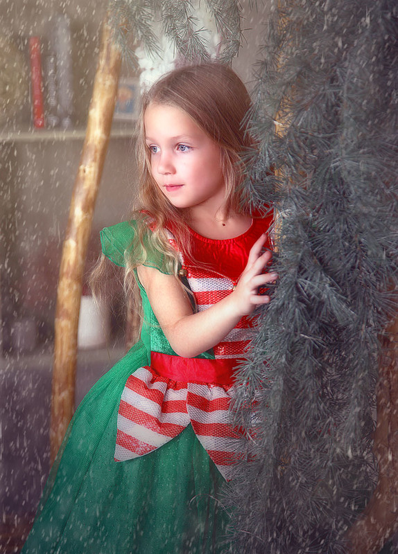 Фотографія Портрет / Наталья Шевцова / photographers.ua