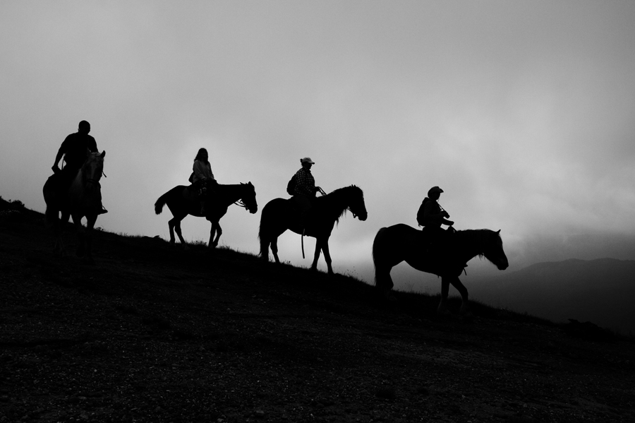 Фотографія Riders / Александр Черных / photographers.ua
