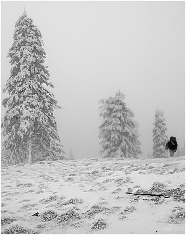 Фотографія З туману в хмару... / Вадим Шишка / photographers.ua