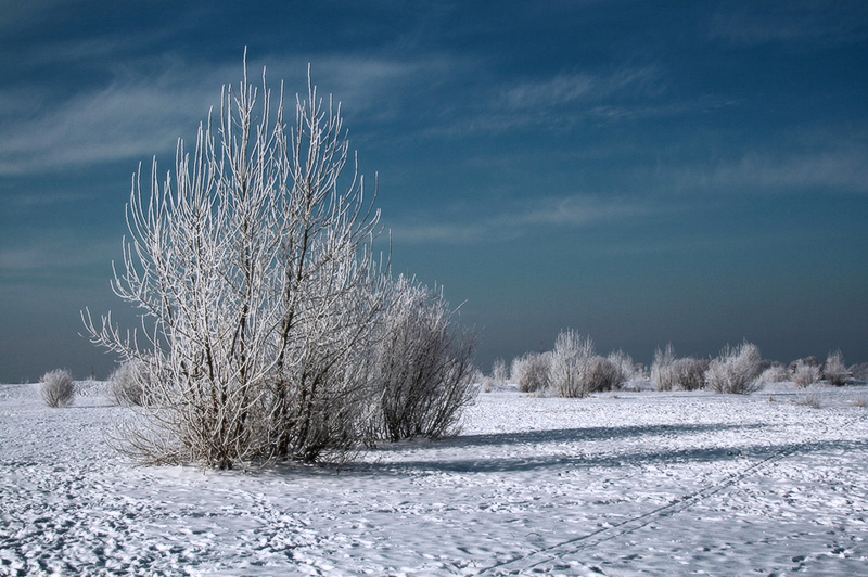 Фотографія З першим днем! всім вдалої фото-зими : ) / Wendy Beckett / photographers.ua