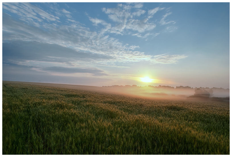 Фотографія ... / Polishchyk Ivan / photographers.ua