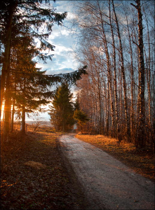 Фотографія ... / Polishchyk Ivan / photographers.ua