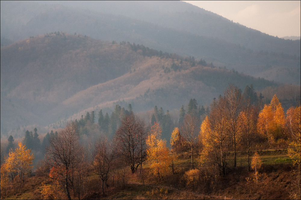 Фотографія ... / Polishchyk Ivan / photographers.ua