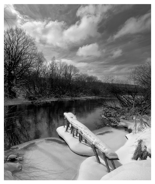 Фотографія Чорно-біла зима / Polishchyk Ivan / photographers.ua