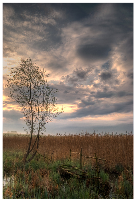 Фотографія на світанку... / Polishchyk Ivan / photographers.ua