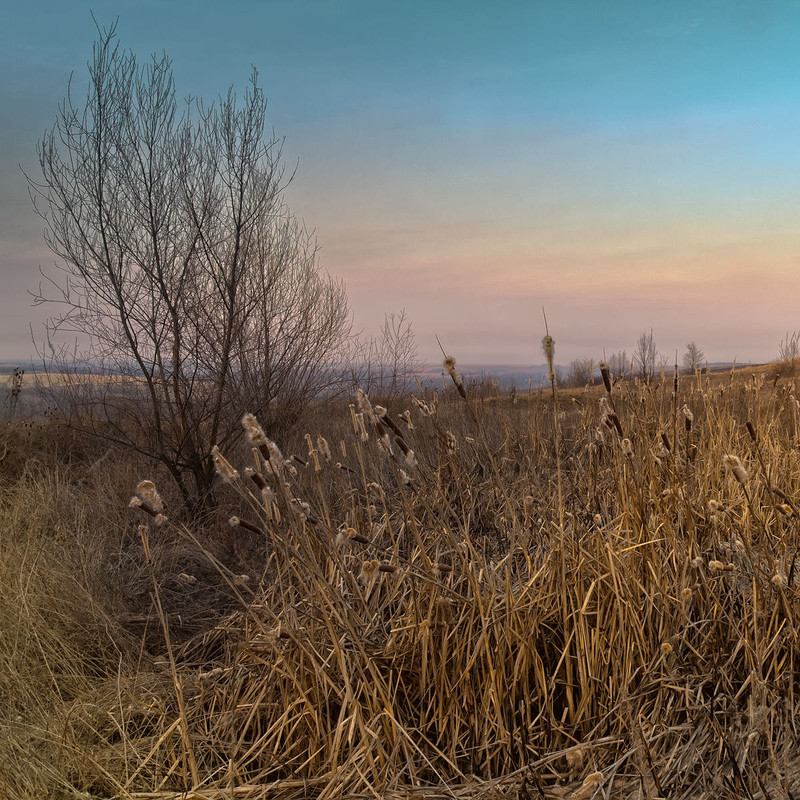 Фотографія Вечер в преддверии весны. / Борис Курицын / photographers.ua