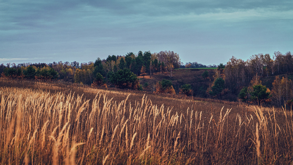 Фотографія Пейзаж / Arkadiy Degtyarenko / photographers.ua