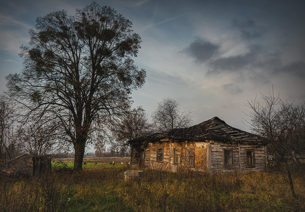 Фотографія Пейзаж / Arkadiy Degtyarenko / photographers.ua