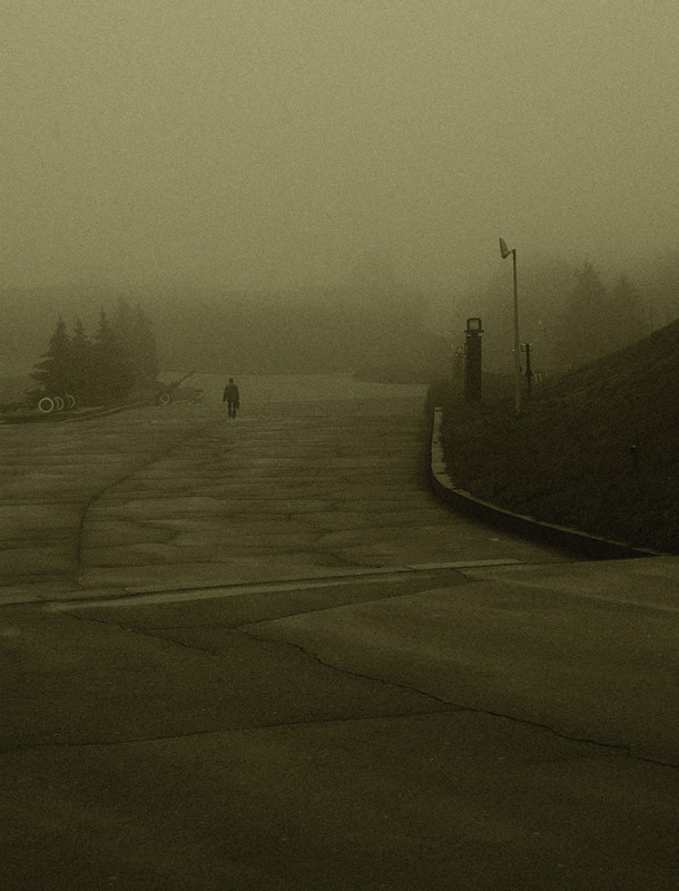 Фотографія Into the fog / Анастасия Зорина / photographers.ua
