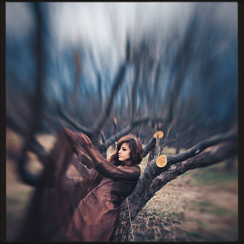 Фотографія Spirit of a tree / Дан Хечо / photographers.ua