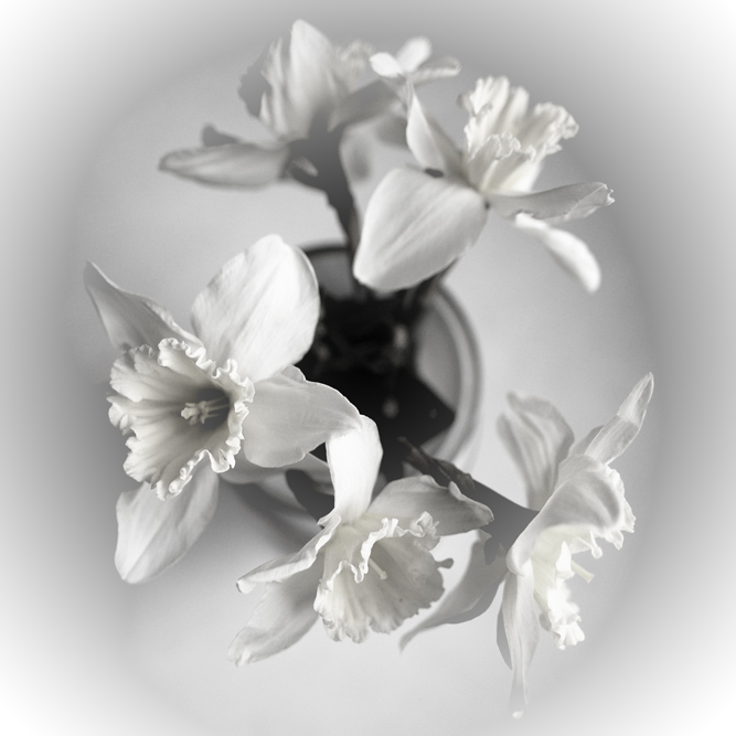 Фотографія Разное / pierro t / photographers.ua