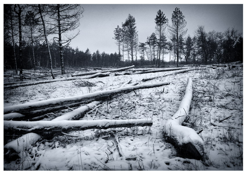 Фотографія Геометрия зимы / S E R G I O / photographers.ua