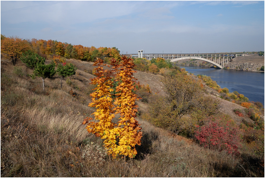 Фотографія Через мост в осень... / S E R G I O / photographers.ua