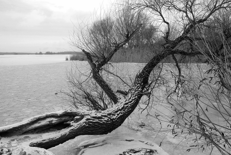 Фотографія Линии зимы... / S E R G I O / photographers.ua