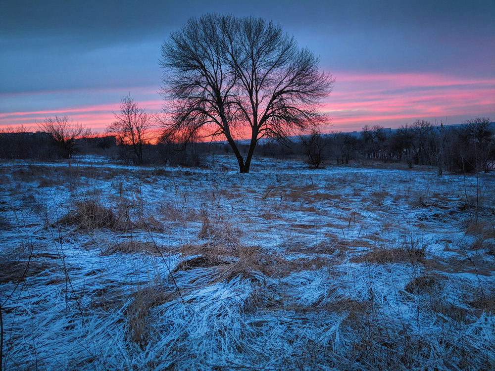 Фотографія Winter sunset / S E R G I O / photographers.ua